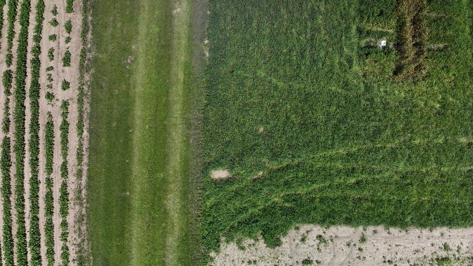 UAV image corresponding to the current waypoint