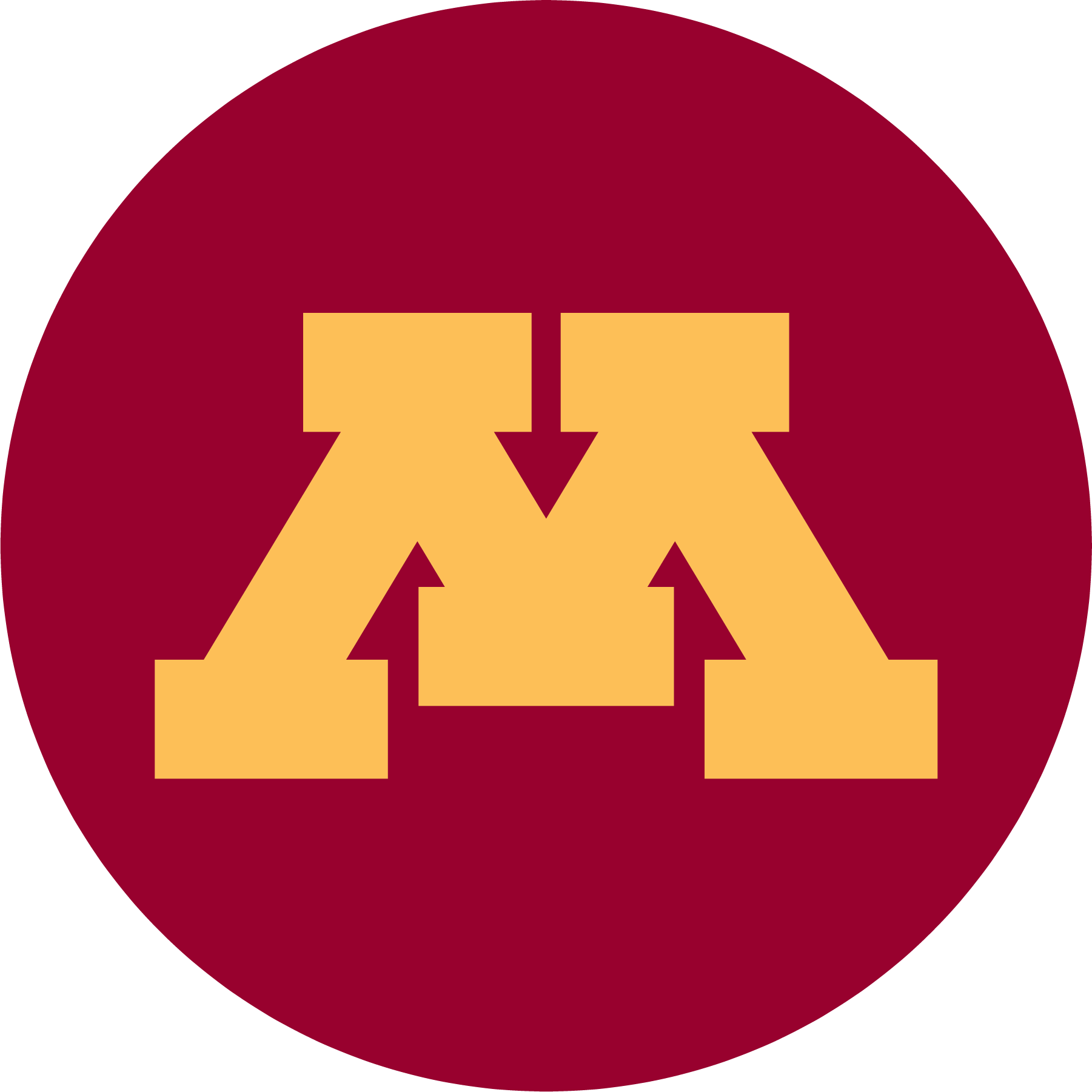 University of Minnesota Twin Cities