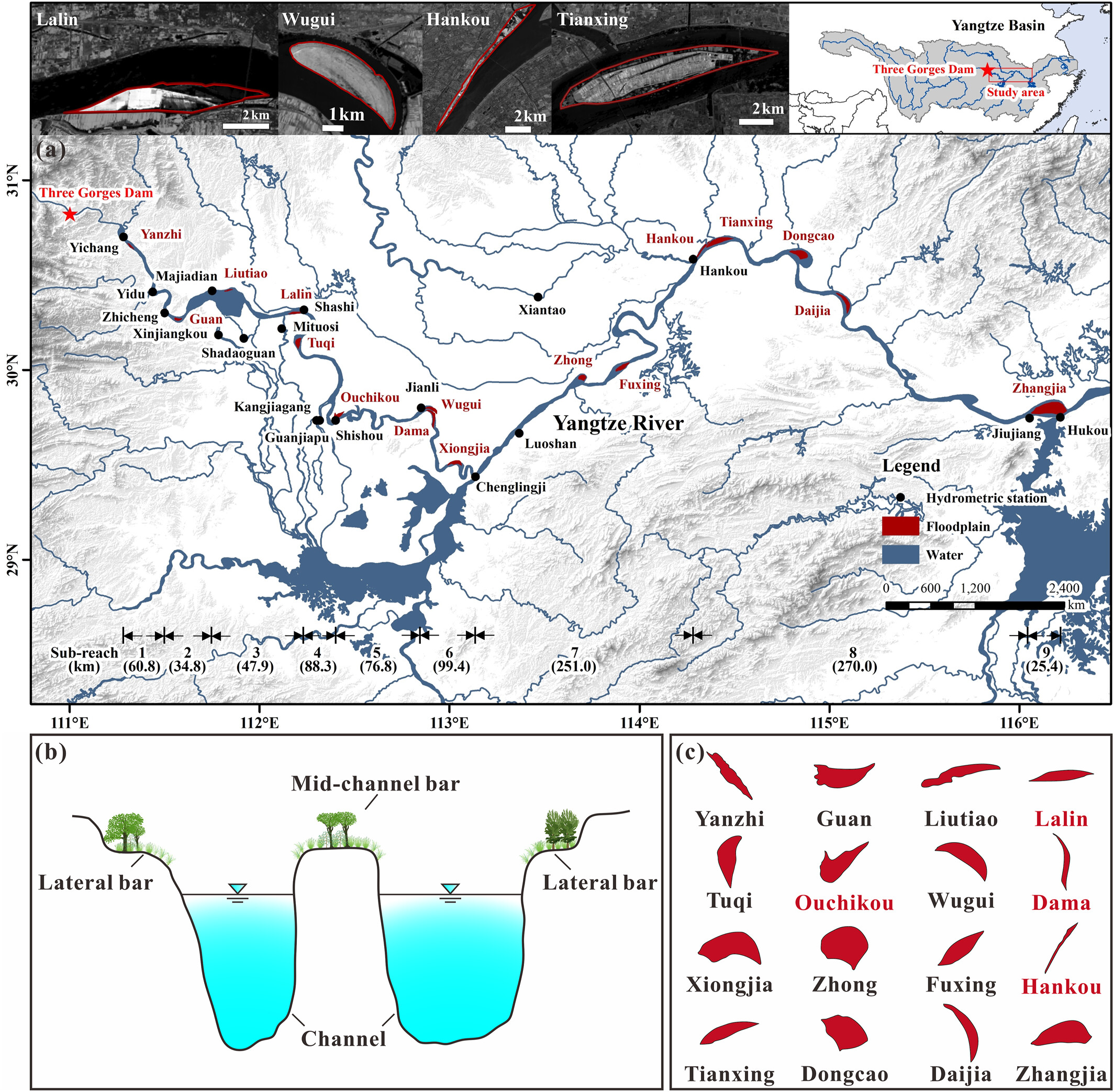 Shifted Flood and Ecology Regimes Due To Channel Bar Greening and Increased Flow Resistance in a Large Dammed River