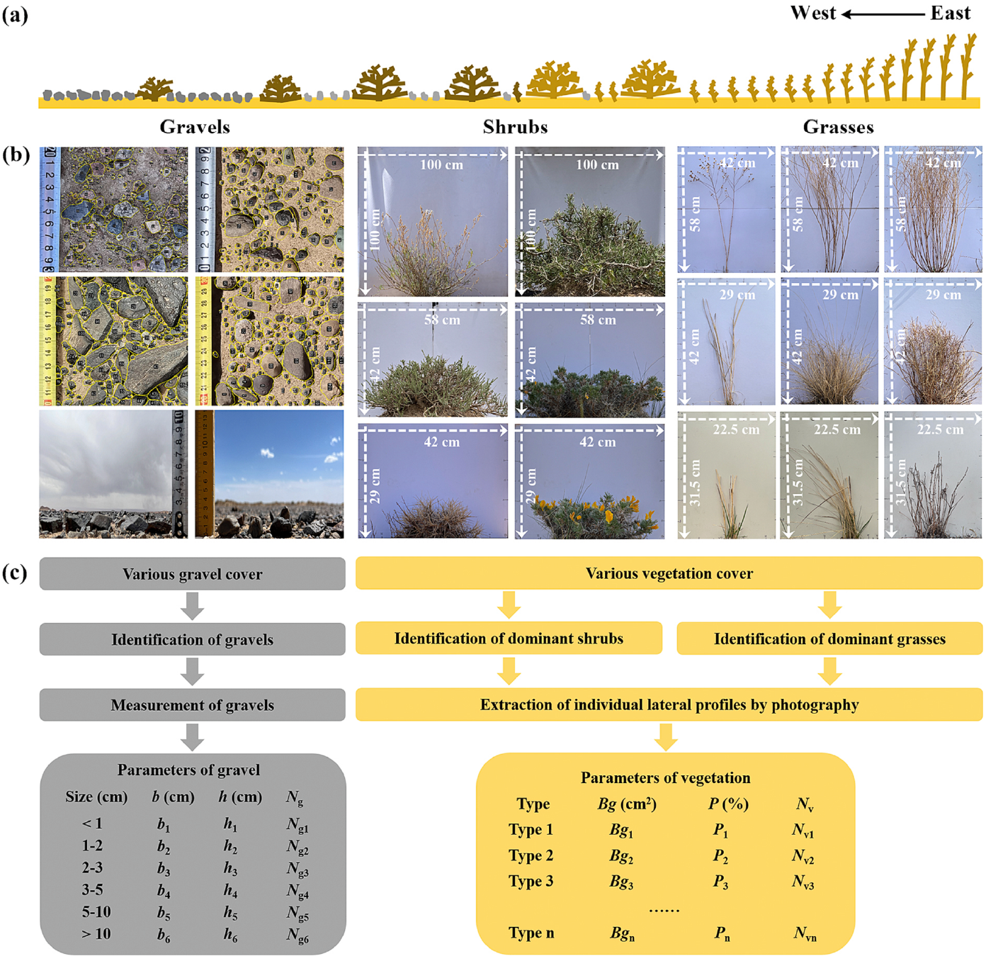 Estimating lateral cover of vegetation and gravel using NDVI and albedo