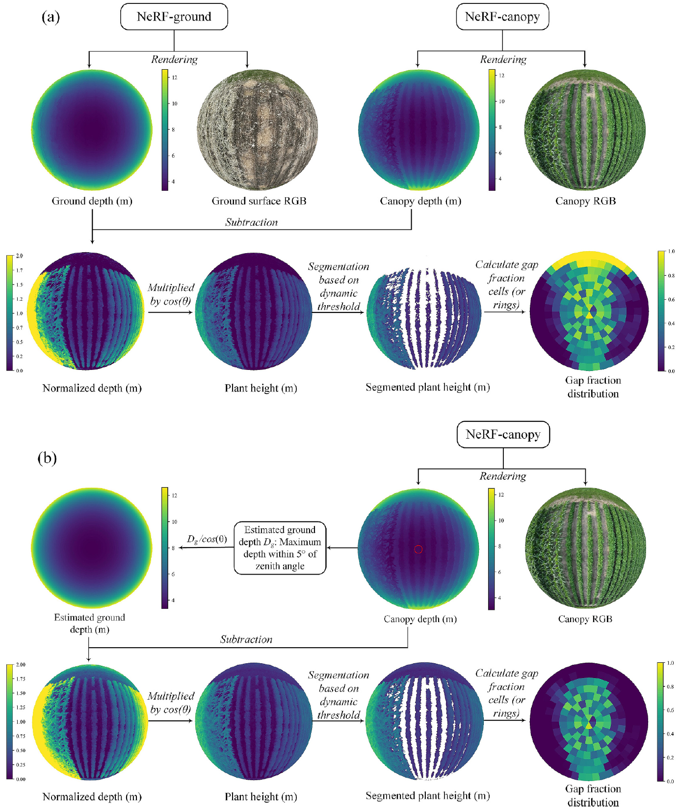 NeRF-LAI: A hybrid method combining neural radiance field and gap-fraction theory for deriving effective leaf area index of corn and soybean using multi-angle UAV images