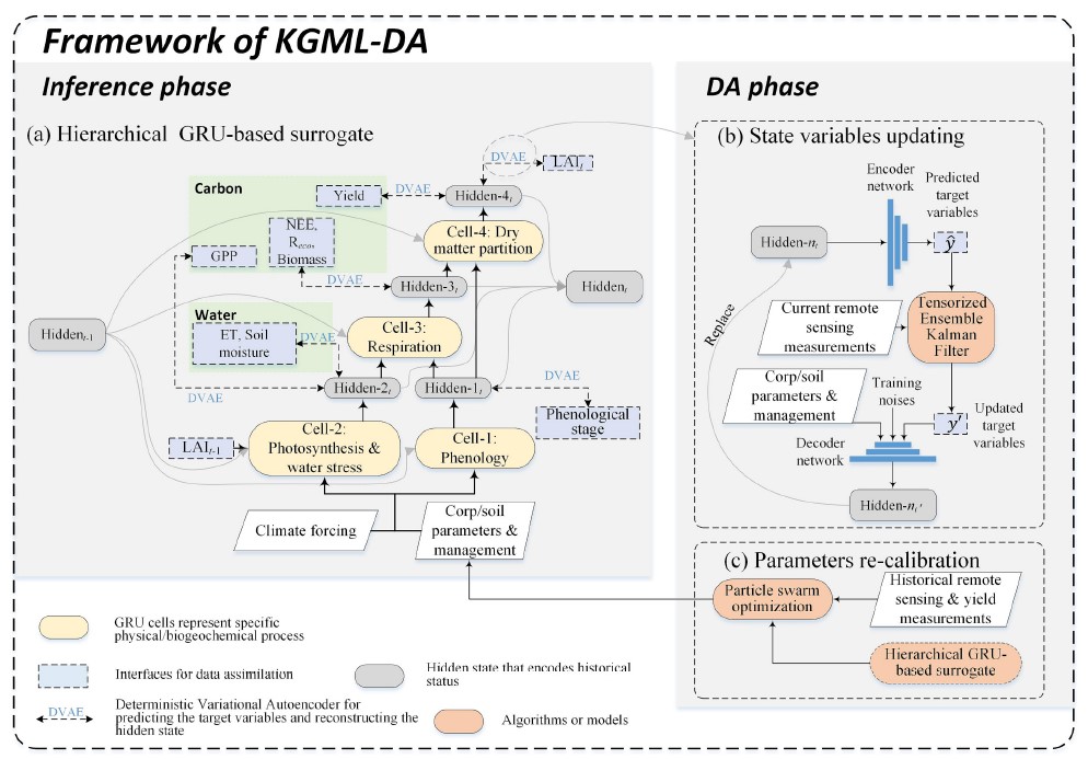 A flexible and efficient knowledge-guided machine learning data assimilation (KGML-DA) framework for agroecosystem prediction in the US Midwest